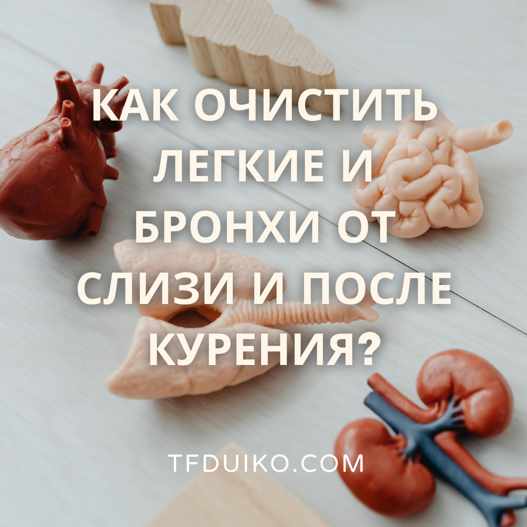 Как очистить легкие и бронхи от слизи и после курения? Очистка дыхательной  системы человека от накопившихся токсинов и загрязнений является критически  важной для поддержания здоровья и эффективности легких и других  дыхательных... -